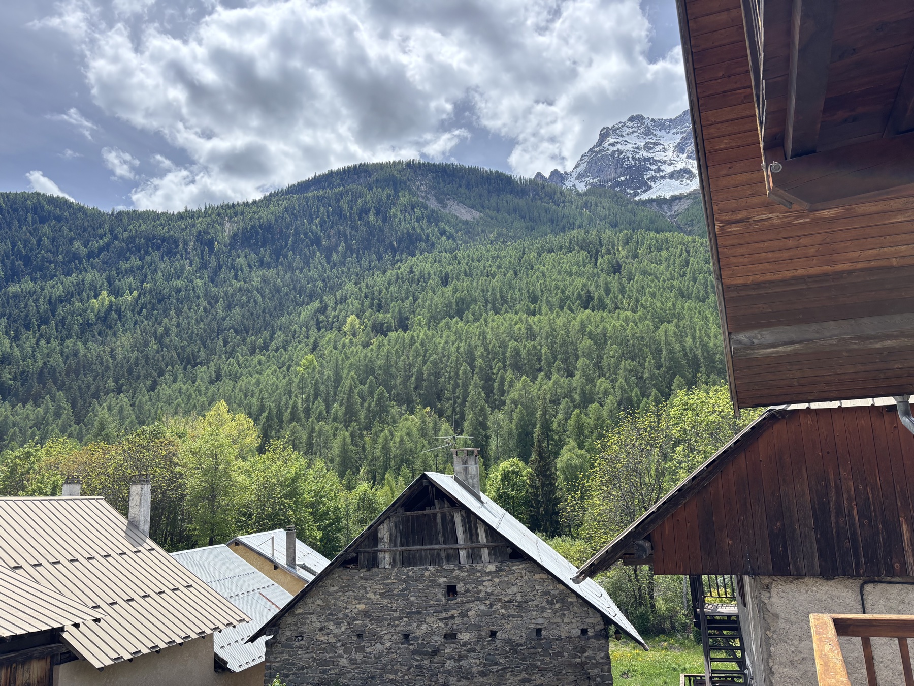 Vue sur les sommets enneigés et la forêt